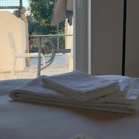 Ferreira do ZêzereQuinta Dos Girassois Fz公寓 外观 照片