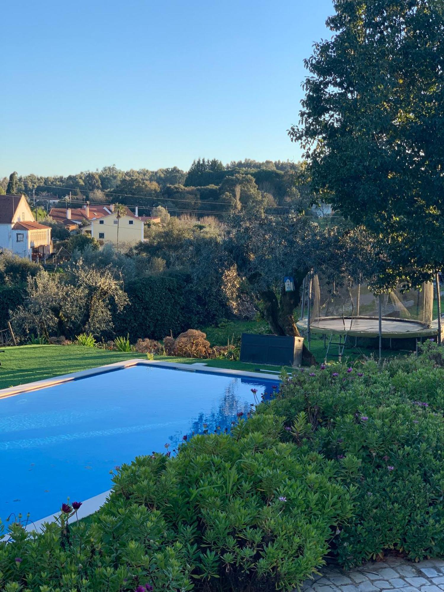 Ferreira do ZêzereQuinta Dos Girassois Fz公寓 外观 照片
