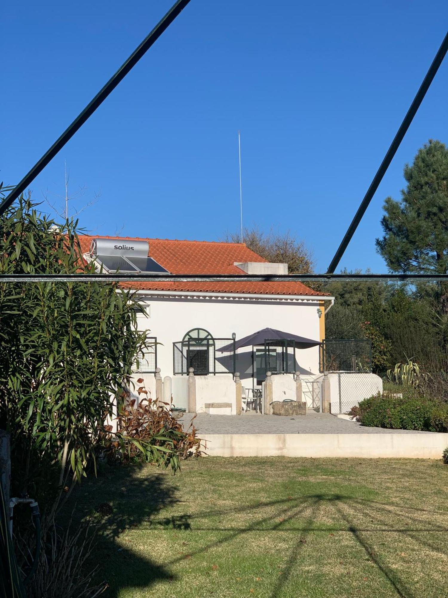 Ferreira do ZêzereQuinta Dos Girassois Fz公寓 外观 照片